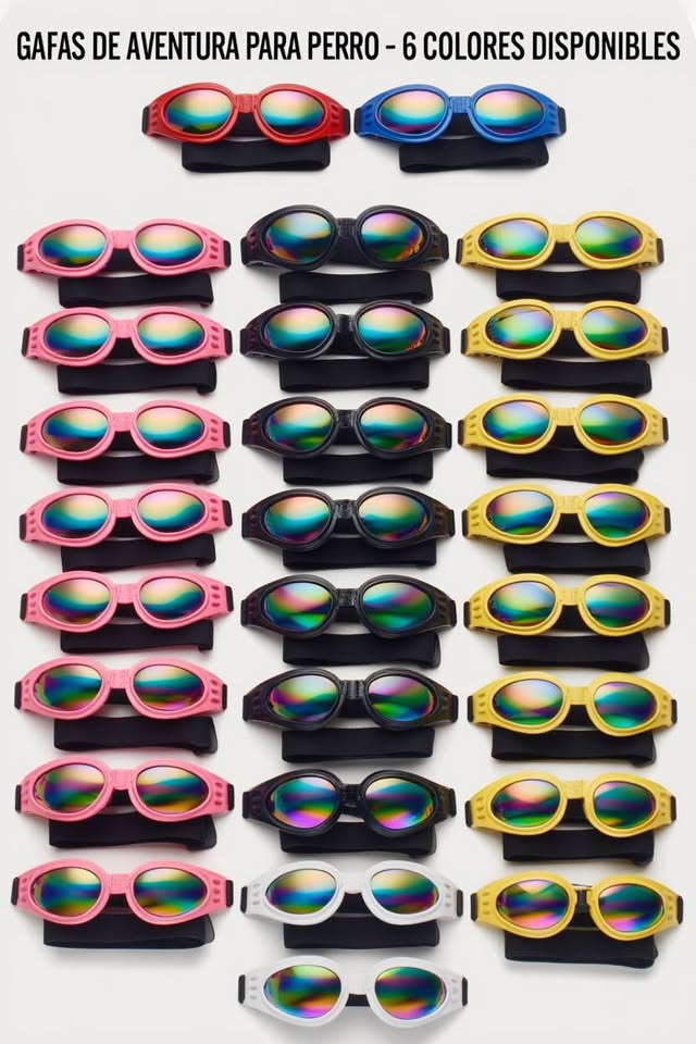 Gafas para perro Plegables Mascotas Protección