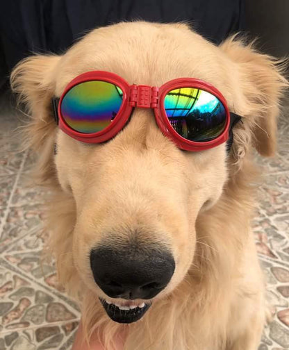 Gafas para perro Plegables Mascotas Protección