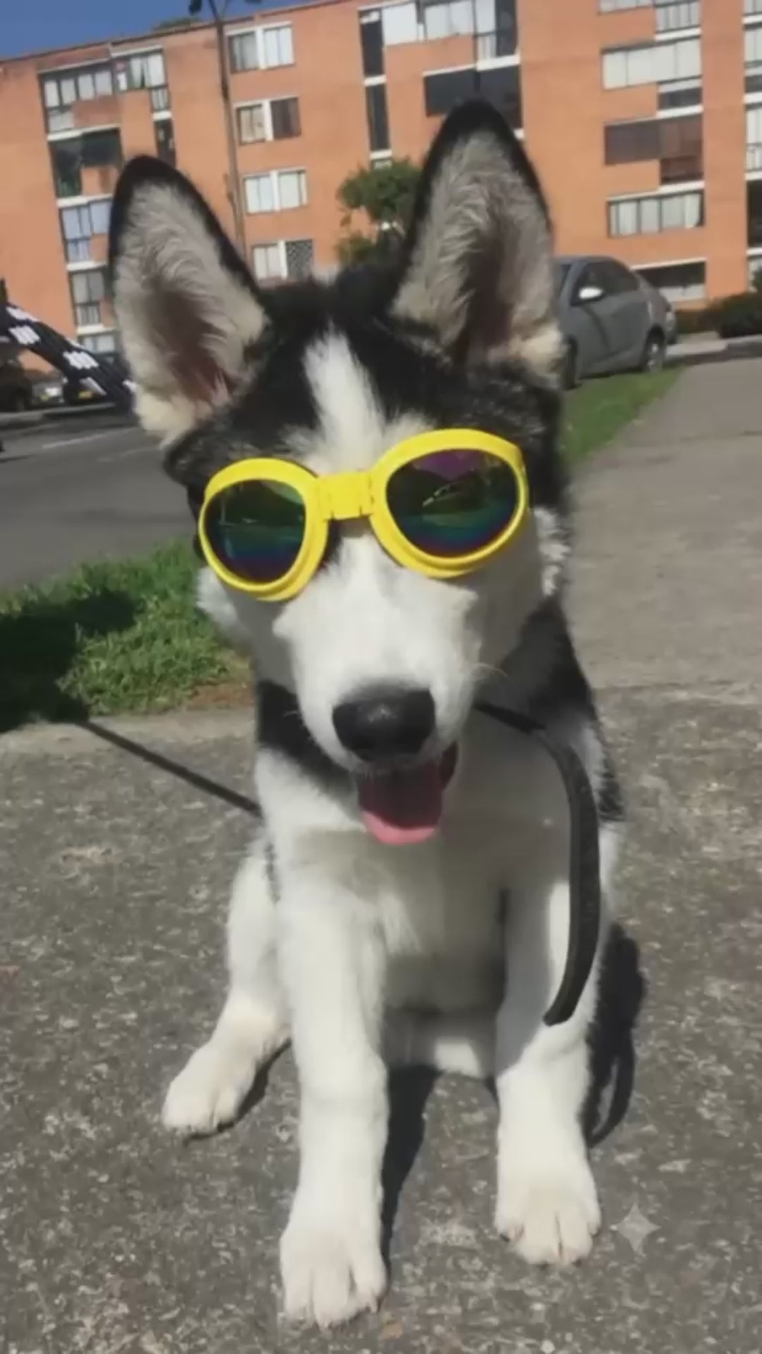 Gafas jacobo